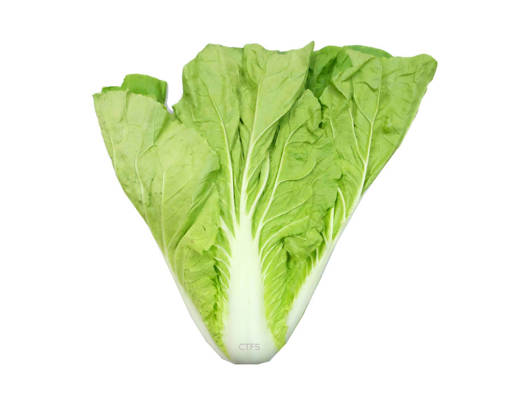 Picture of VEG-ENDIVE -LOCAL(500G)