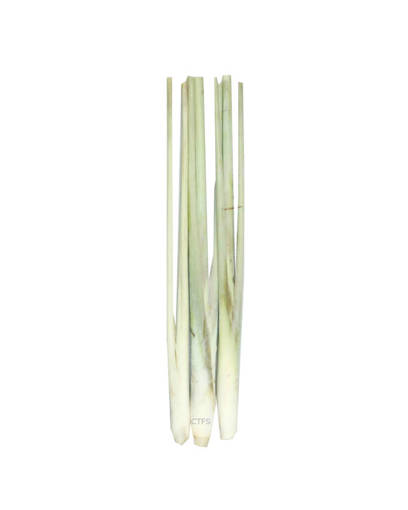 Picture of VEG-LEMONGRASS FRESH (100G)