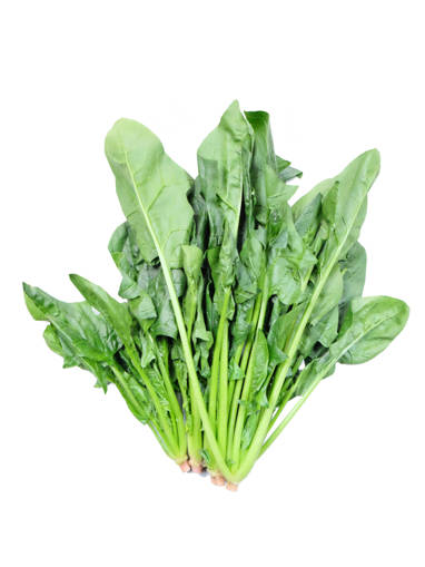 Picture of VEG-SPINACH-POH CAI - CHINA (500G)