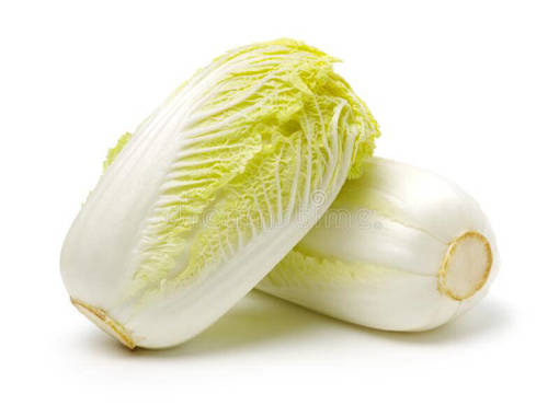 Picture of PM - CABBAGE TIENTSIN *LONG CABBAGE (MIN ORDER 1KG)