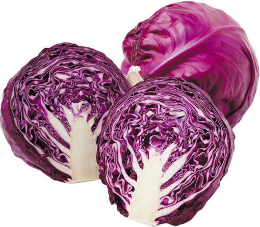 Picture of PM - RED CABBAGE (MIN ORDER 500GM)